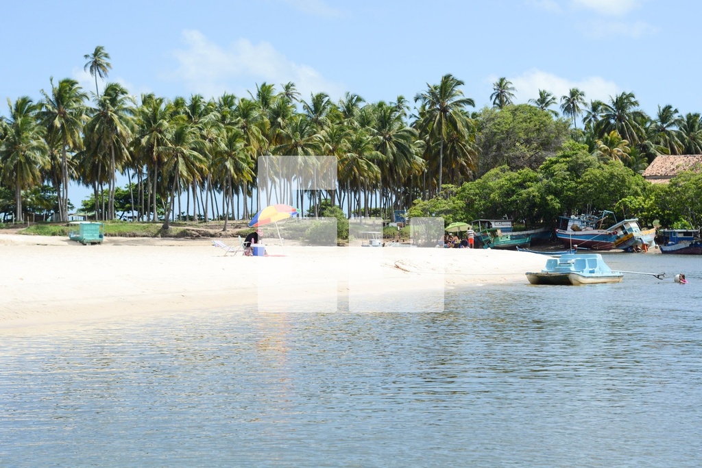 Apartamento Itacorubi, Florianópolis - SC